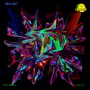 Pavel Bibikov - Real Shit