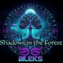 DJ BilekS - Shadows in the Forest (Original)