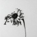 Jonathan Facka - Your Woman ()