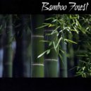 Bamboo Forest - Xperience