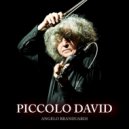 Angelo Branduardi - Piccolo David ()
