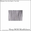 Sleep BGM Mindfulness - Swept Away by the Gentle Echoes of Neural Soundwaves (Original Mix)