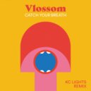 Vlossom - Catch Your Breath