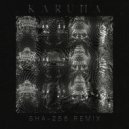 Raudra & SHA-256 - Karuna