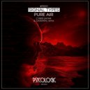 Signal Types & Gamaral & Cyber Safari - Pure Air