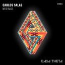 Carlos Salas - Maya