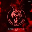 Re Power, Alina Prox - Pilots (Extended Mix)
