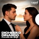DICHEEKO & DINARDO - Pulling Me Near (Original Mix)