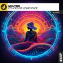 Molynn - Echoes Of Your Voice (Original Mix)