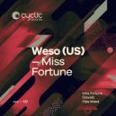Weso (US) - Miss Fortune (Original Mix)