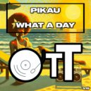 Pikau - What A Day (Radio Edit)