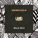 Khomotxo_M - Black Bird (Original Experiment)