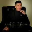 Andy Roda - I Just Called To Say I Love You ()