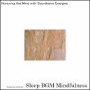 Sleep BGM Mindfulness - Awakening Inner Calm with Sounds of Sleep Therapy for Rest (Original Mix)