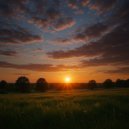 Napolmi Dermol - Radiant Drift ()