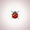 Tasyon - Божья Коровка ()