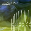 James Woods & Alex H - Guadalupe (Vintage Colors Remix)