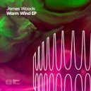 James Woods - Tracking Aeroplanes