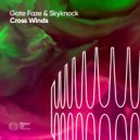 Gate Faze & Skyknock - Cross Winds (Original Mix)