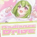 Timothy Alv & shully - Radiance Drive ()