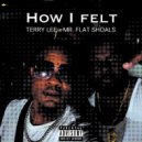 Terry Lee - How I Felt ()