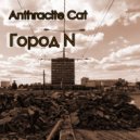 Anthracite Cat - Город N (v2.0)