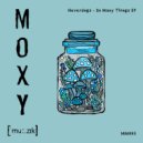 Neverdogs - So Many Things (Original Mix)