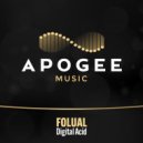 FOLUAL - Digital Acid (Extended Mix)