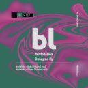 blvkdisko - dolo (Original Mix)