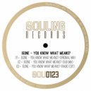 Igone - You Know What Means? (Radio Edit)