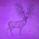 Homaag - Rough Sketches (Ahrwald Remix)