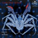 Charlie NyQuist, D.O.L.F.X, H1OC Live - Castles Made Of Sand (Live Mix)