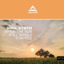 Soul Synth - While The Sun Still Shines For You (Radio Edit)