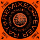 Fever Ray - This Country (Paula Temple\'s INSTRUMENTAL Version)