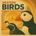 Western Birds & WATER & Boomslang - Big Ups San Diego ()