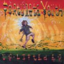 Fortunate Youth - Earthquake