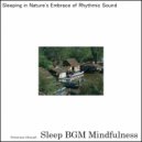Sleep BGM Mindfulness - Journey of Sleep with Soundscapes of Emotional Healing