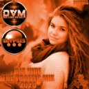 Djs Vibe - The Traffic Mix 2025 (Elypsis) ()