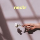 Nectr - Someone (Original Mix)