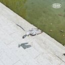 FARR - Freedom (Insightful Remix)