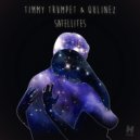 Timmy Trumpet & Qulinez - Satellites