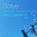 Gotye - Somebody That I Used To Know (Mass Digital Remix)