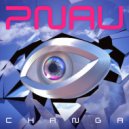 PNAU - Nothing in the World