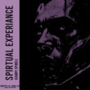 giampi spinelli - Spiritual Experiance (Original Mix)