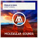 Pralle & Kaul - Spirit Animal