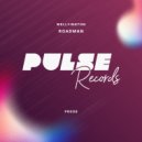 Wellyington - Roadman (Original Mix)