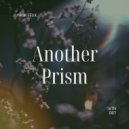 Junior Felix - Another Prism