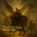 NONAME B2B - Valkirias