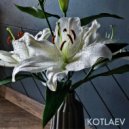 KOTLAEV DANIL - Neural Static ()