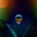 IIJA - Мир в каждой капле ()